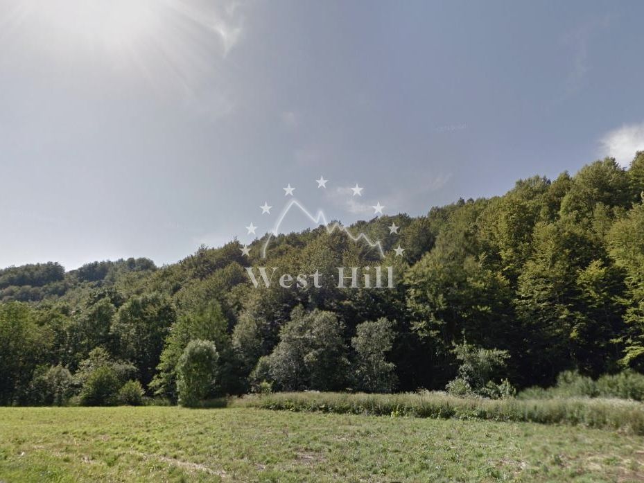 Land in Kolasin, Montenegro, 140 000 m² - picture 3