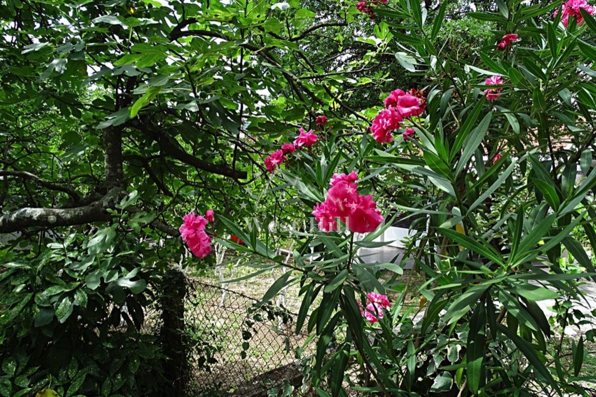 House in Orahovac, Montenegro, 71 m² - picture 9