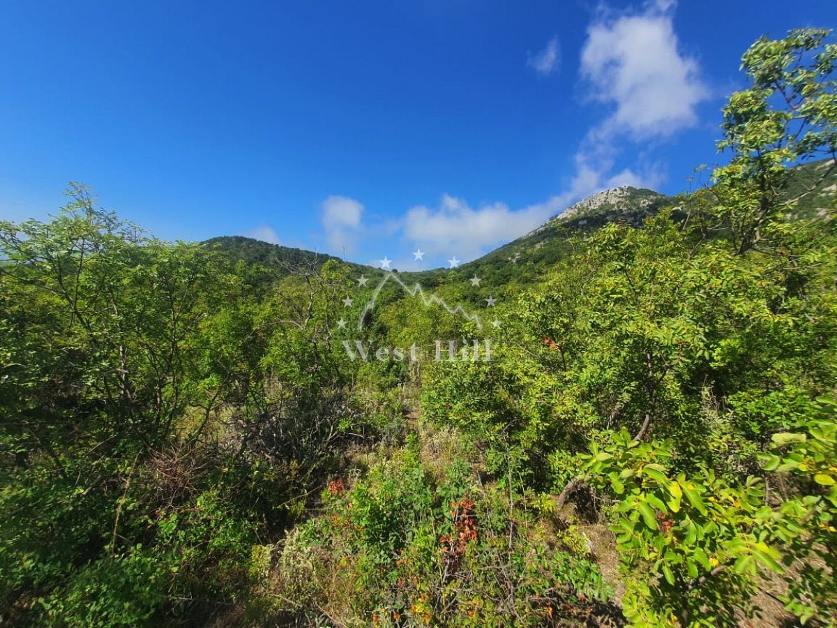 Terreno Pecurice, Montenegro, 14 000 m² - imagen 10