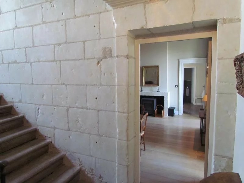 House in Centre-Val de Loire, France, 920 m² - picture 7