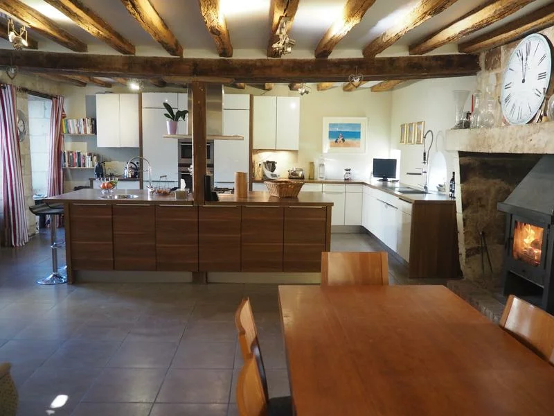 House in Centre-Val de Loire, France, 920 m² - picture 8