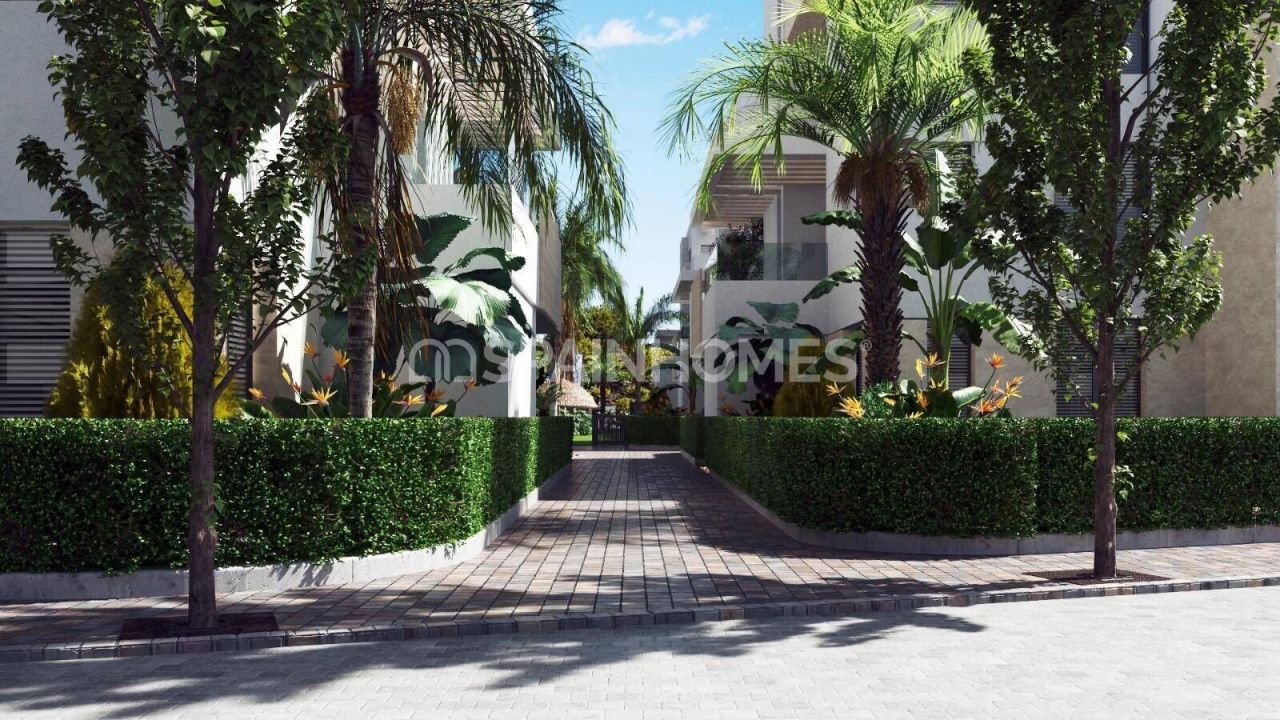 Apartment in Torre-Pacheco, Spain, 102 m² - picture 1