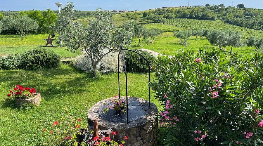 Hotel in Buje, Kroatien, 758 m² - Foto 5