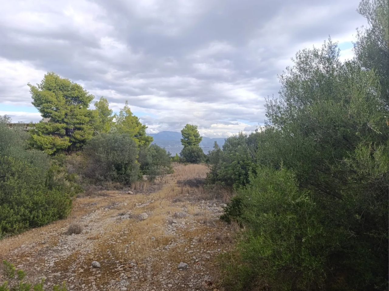 Terreno a Corinthia, Grecia, 4 820 m2 - foto 9