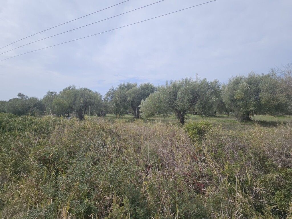 Grundstück in Kassandra, Griechenland, 5 100 m² - Foto 1