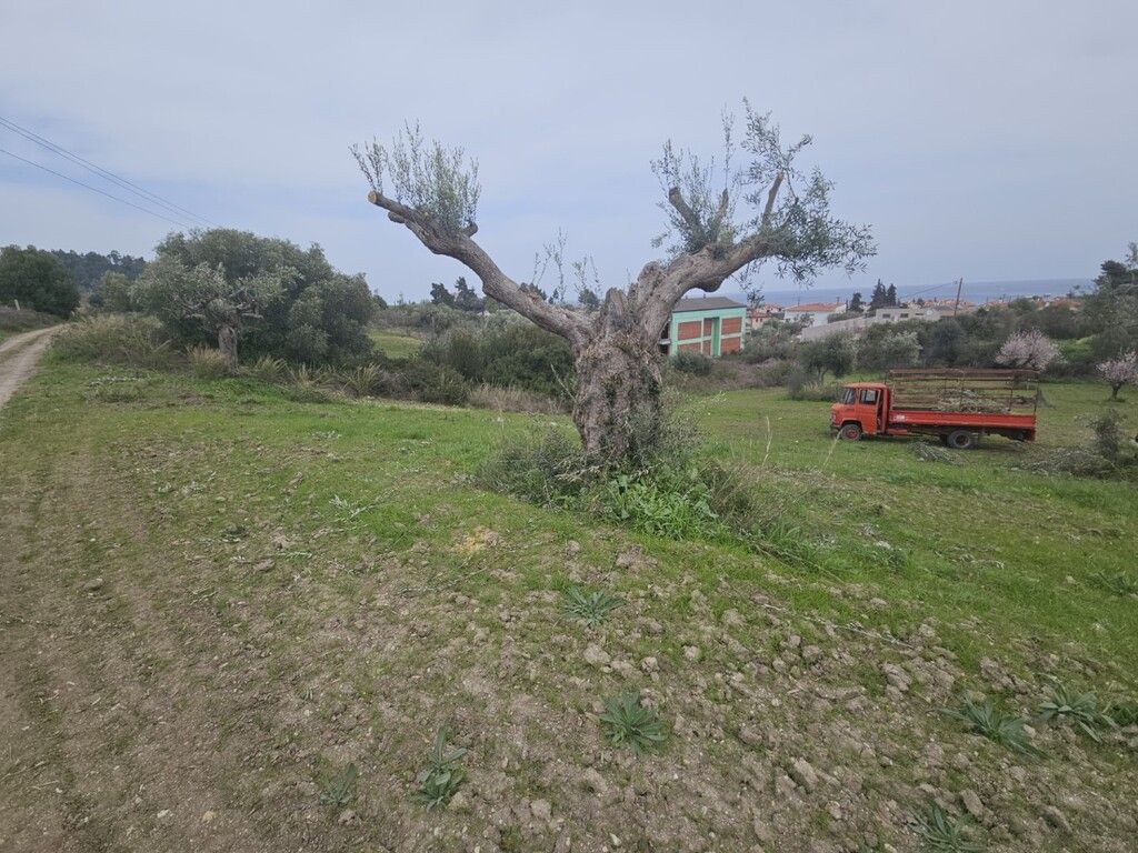 Terreno en Kassandra, Grecia, 1 666 m² - imagen 3