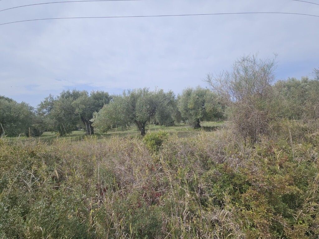 Terreno en Kassandra, Grecia, 5 100 m² - imagen 5