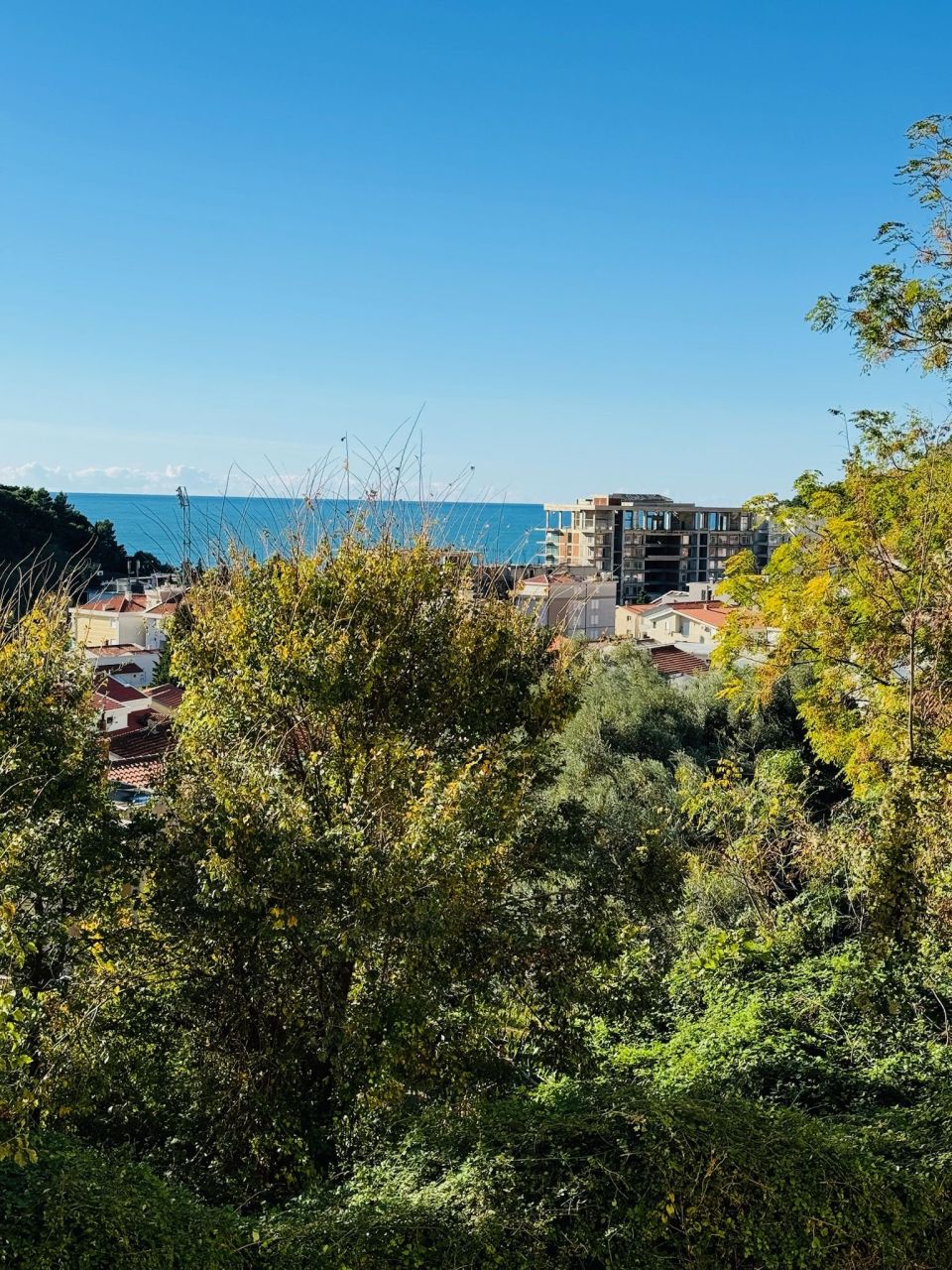 Flat in Petrovac, Montenegro, 167 m² - picture 6