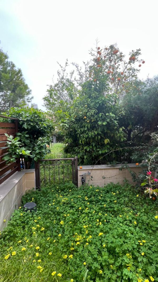 Casa adosada en Pafos, Chipre, 104 m² - imagen 2