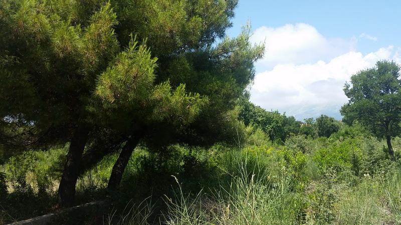 Land in Utjeha, Montenegro, 600 m² - picture 1
