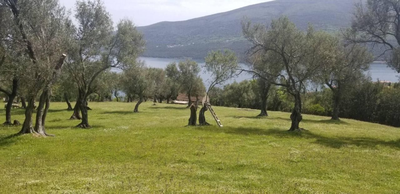 Land in Denovici, Montenegro, 7 560 m² - picture 1