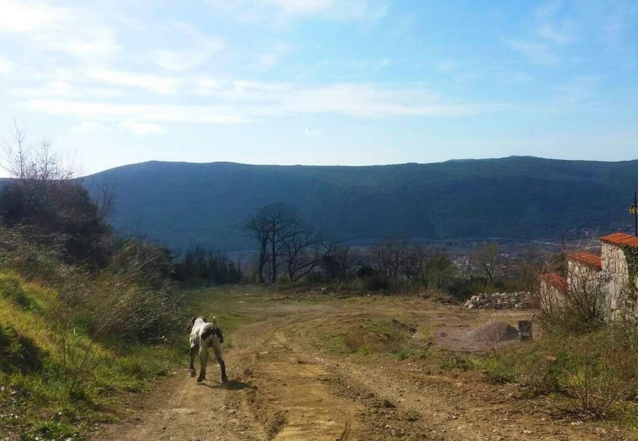 Land in Lastva, Montenegro, 1 400 m² - picture 1