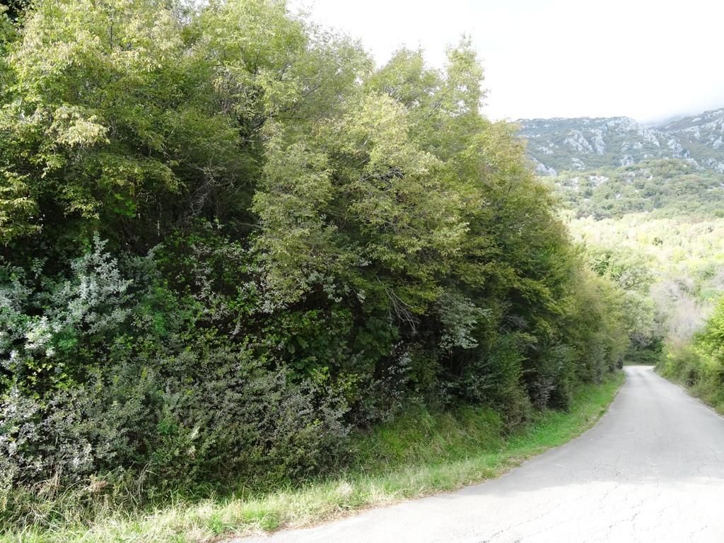 Terreno en Herceg-Novi, Montenegro, 6 324 m² - imagen 1