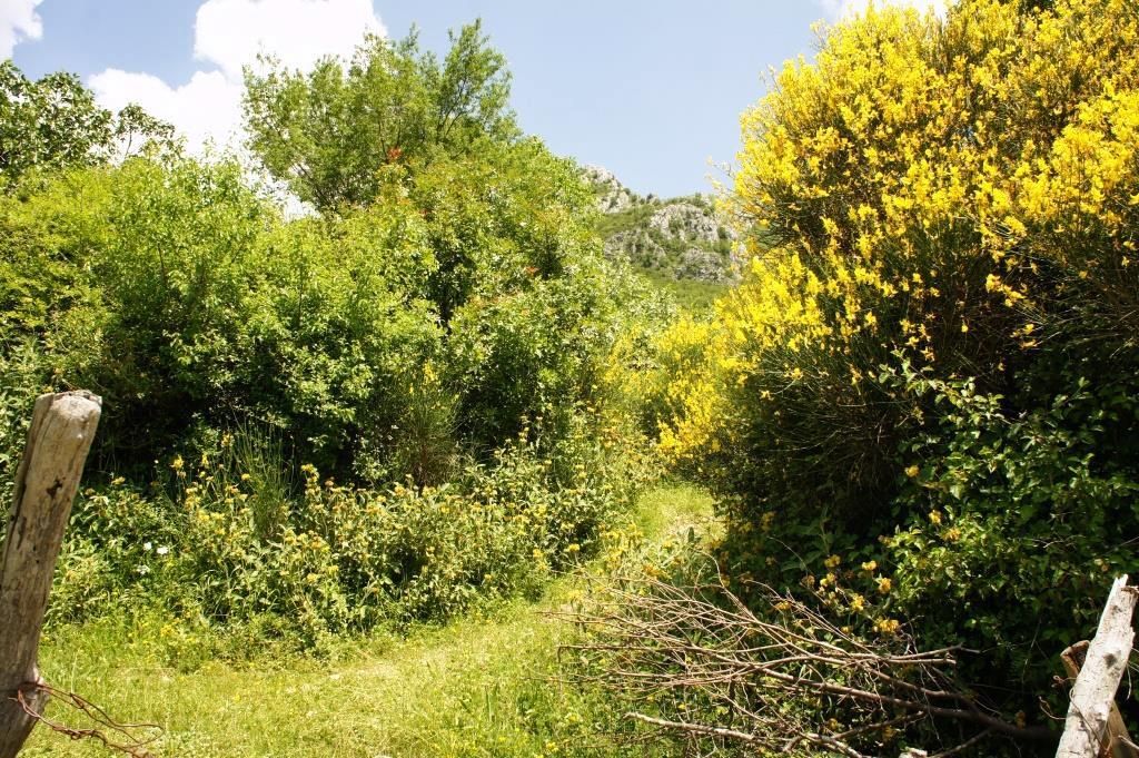Land in Bar, Montenegro, 4 160 m² - picture 1