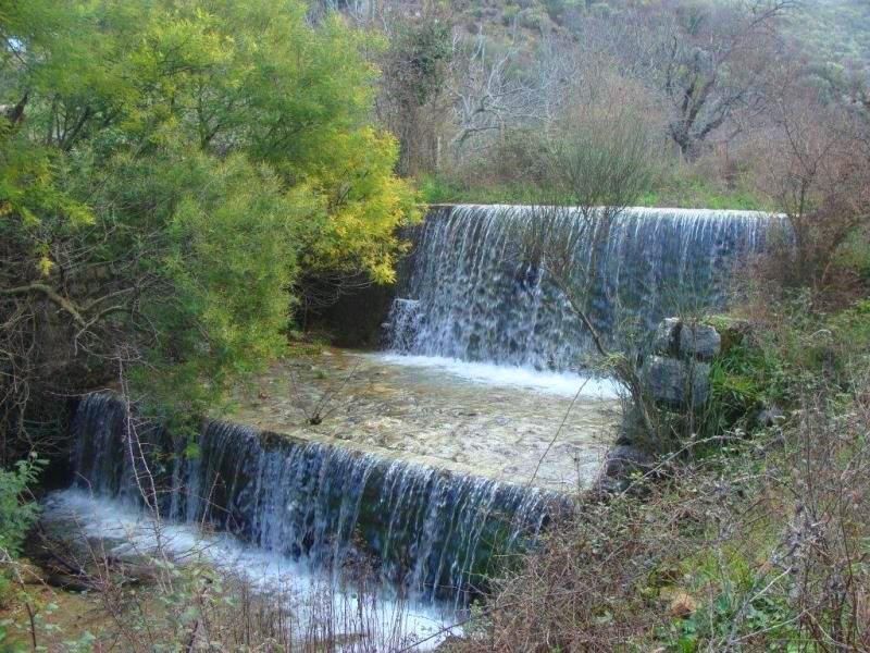 Terrain à Herceg-Novi, Monténégro, 17 000 m² - image 1