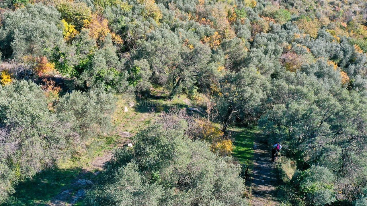 Terreno a Rezevici, Montenegro, 3 561 m2 - foto 2
