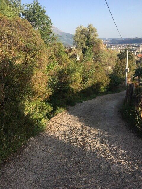 Land in Susanj, Montenegro, 617 m² - picture 2