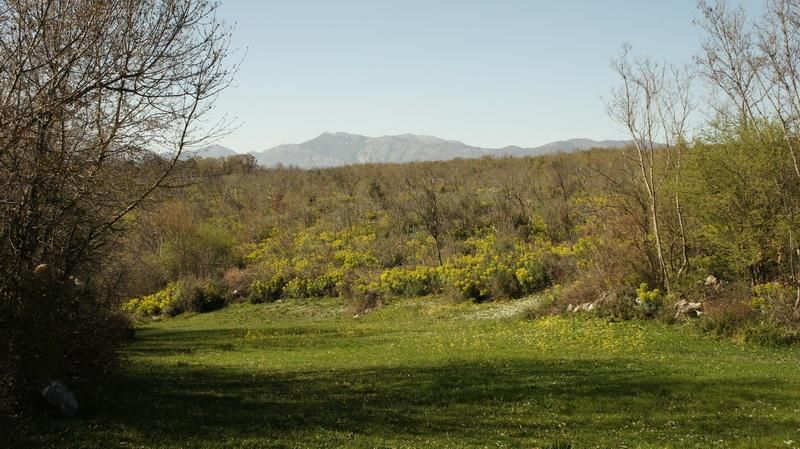 Terreno a Ulcinj, Montenegro, 20 290 m2 - foto 2