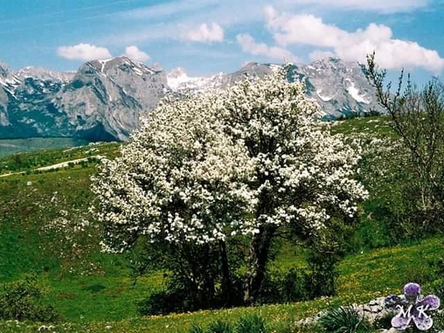 Grundstück in Pluzin, Montenegro, 360 449 m² - Foto 1