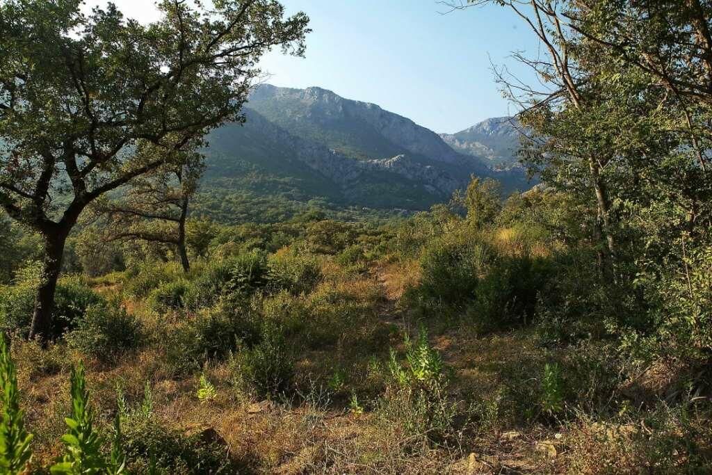 Terreno en el Bar, Montenegro, 1 228 m² - imagen 2