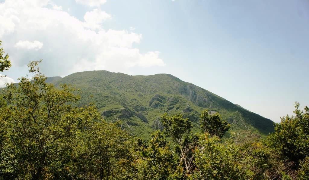 Grundstück in Bar, Montenegro, 4 160 m² - Foto 2