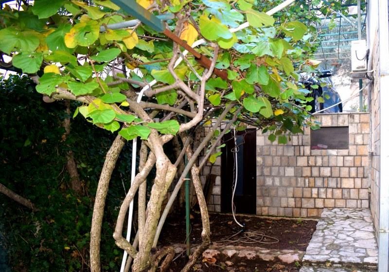 Maison à Petrovac, Monténégro, 214 m² - image 3