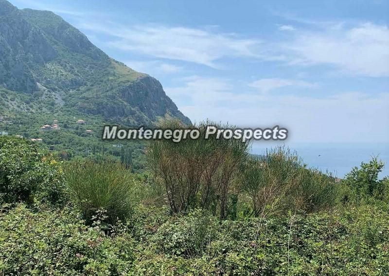 Land in Blizikuce, Montenegro, 5 343 m² - picture 3