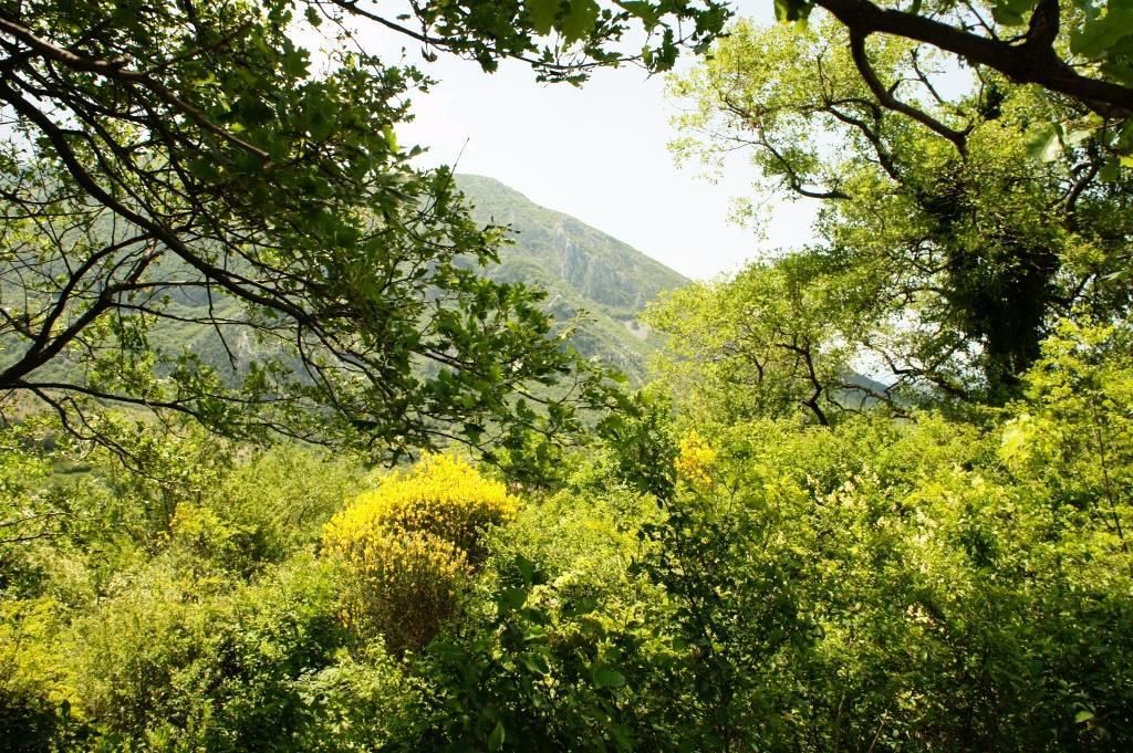 Grundstück in Bar, Montenegro, 4 160 m² - Foto 3