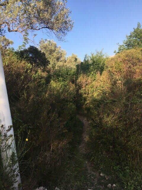 Land in Susanj, Montenegro, 617 m² - picture 4