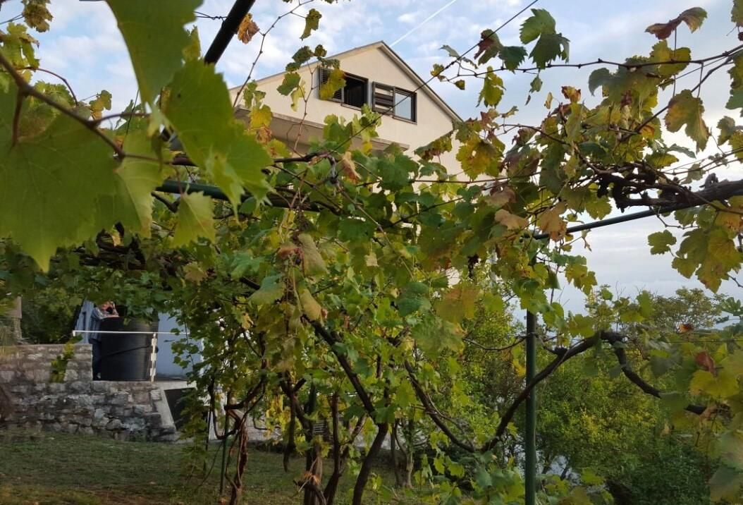 Office in Petrovac, Montenegro, 297 m² - picture 4