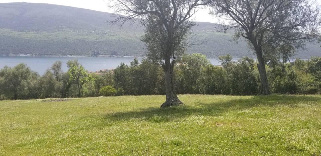 Grundstück in Denovici, Montenegro, 7 560 m² - Foto 4