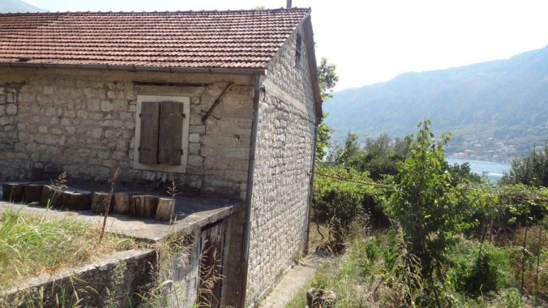 Haus in Dobrota, Montenegro, 140 m² - Foto 4