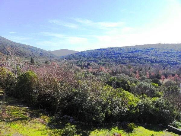 Grundstück in Bigovo, Montenegro, 4 183 m² - Foto 3