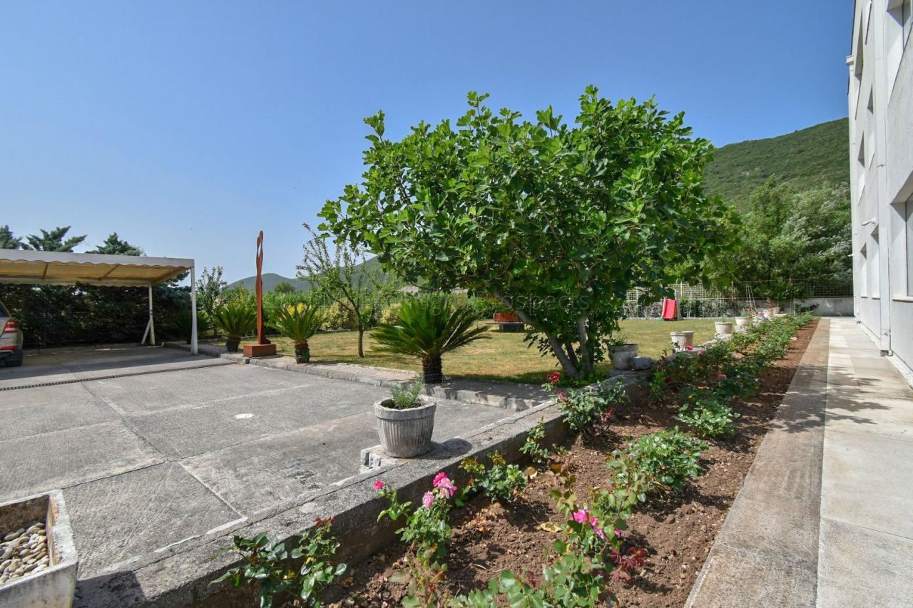 Oficina en Lastva, Montenegro, 1 114 m² - imagen 4