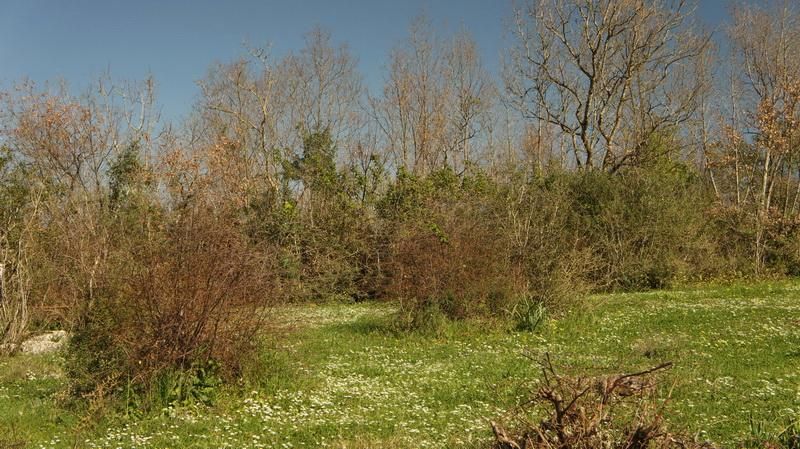 Terreno a Ulcinj, Montenegro, 20 290 m2 - foto 4