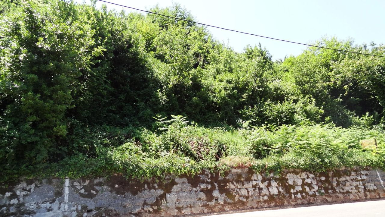 Land in Kostanjica, Montenegro, 12 443 m² - picture 1