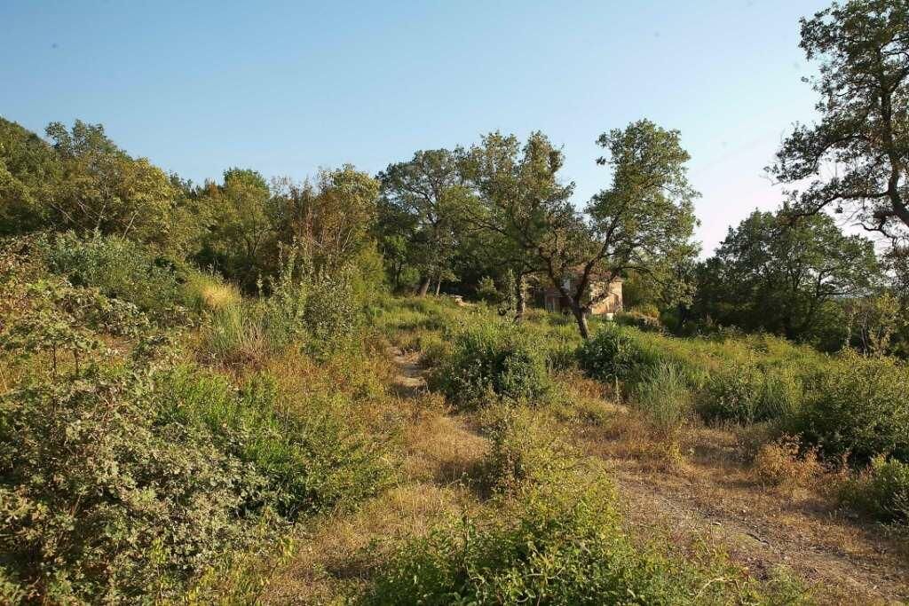 Terreno en el Bar, Montenegro, 1 228 m² - imagen 4