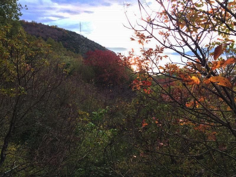 Terreno en Przno, Montenegro, 16 974 m² - imagen 4