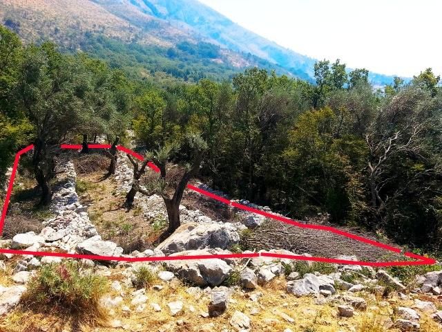 Grundstück in Rezevici, Montenegro, 292 m² - Foto 4