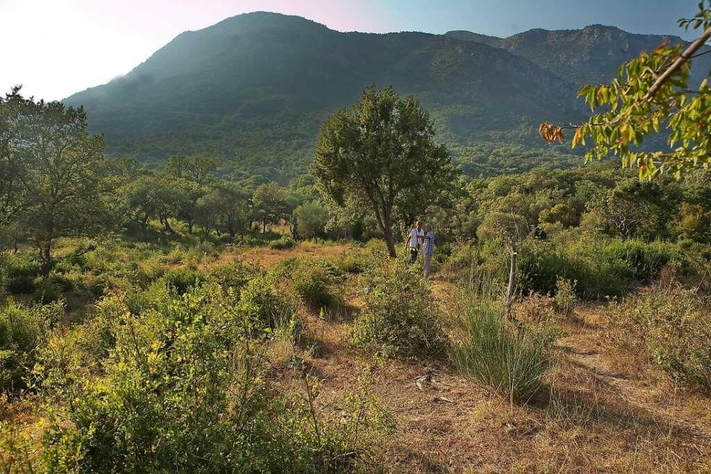 Terreno en el Bar, Montenegro, 1 228 m² - imagen 5