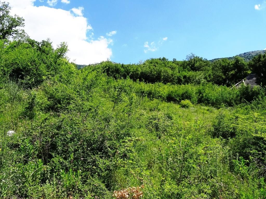 Terreno a Budva, Montenegro, 5 281 m2 - foto 5