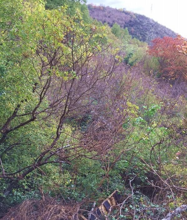 Terreno en Przno, Montenegro, 16 974 m² - imagen 5