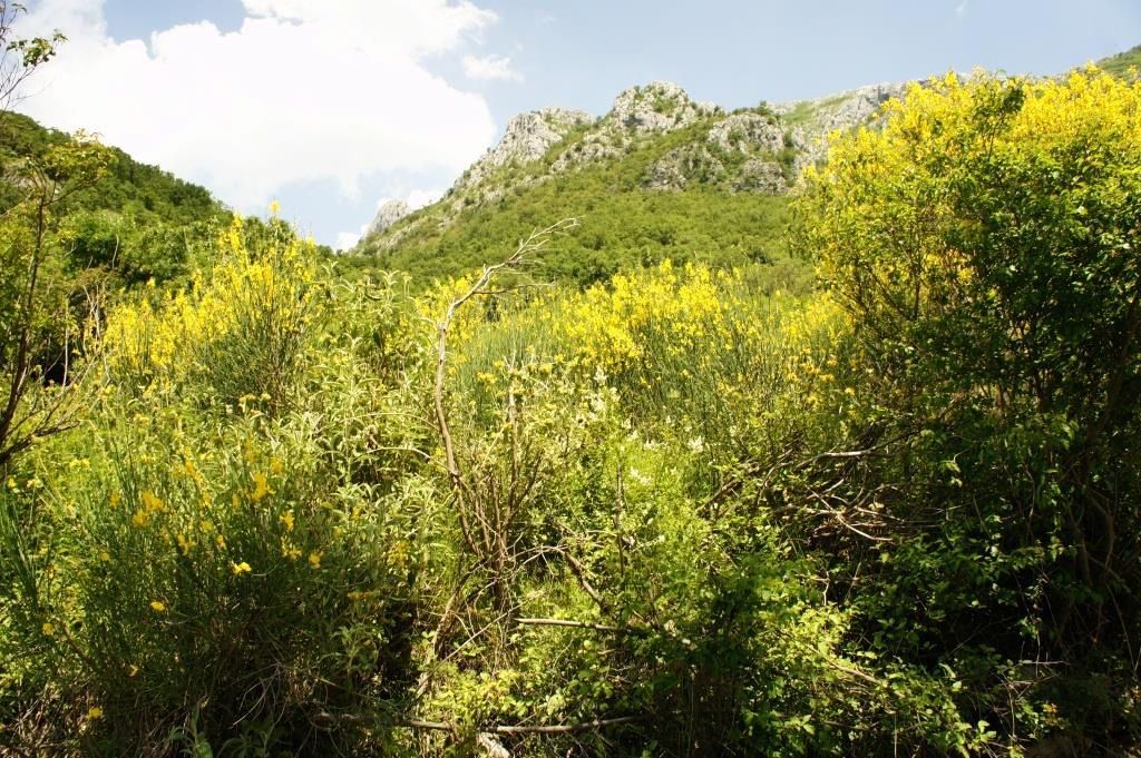 Grundstück in Bar, Montenegro, 4 160 m² - Foto 5