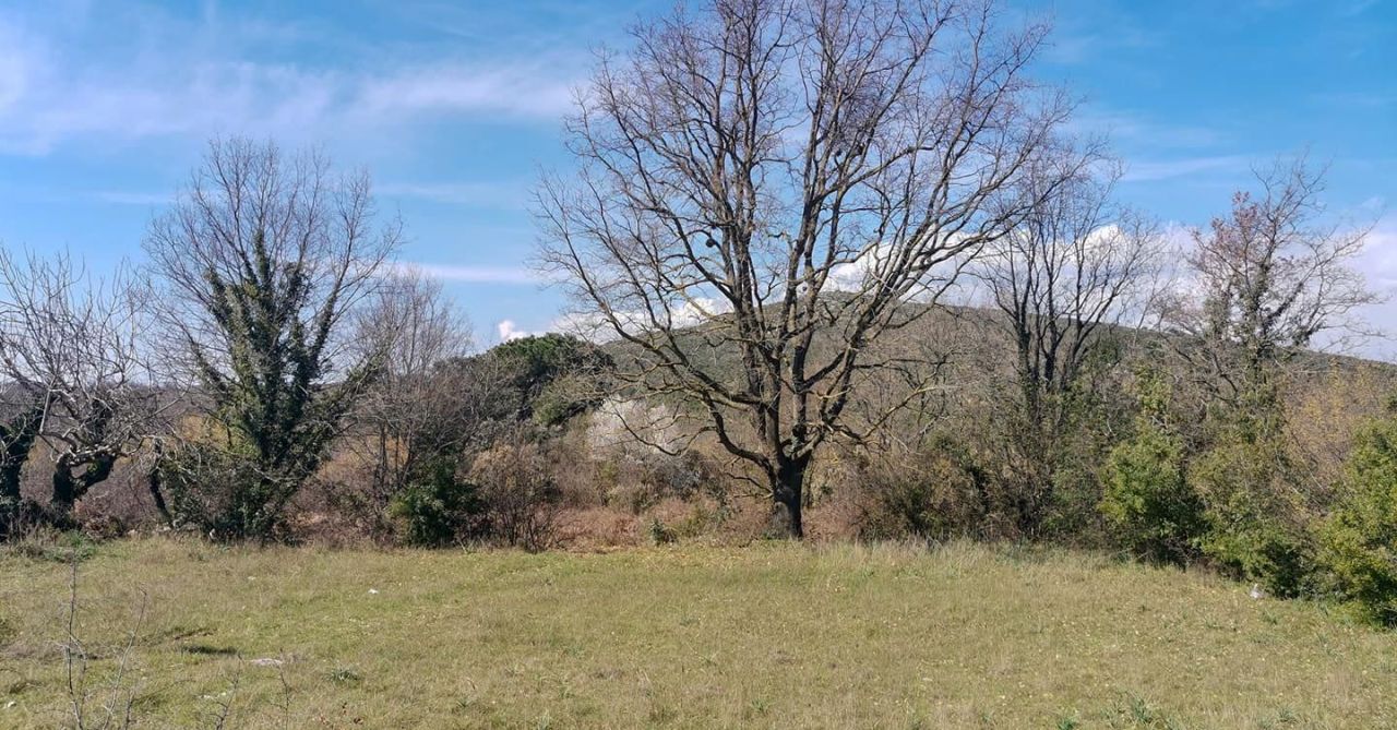 Land in Krimovica, Montenegro, 3 861 m² - picture 6