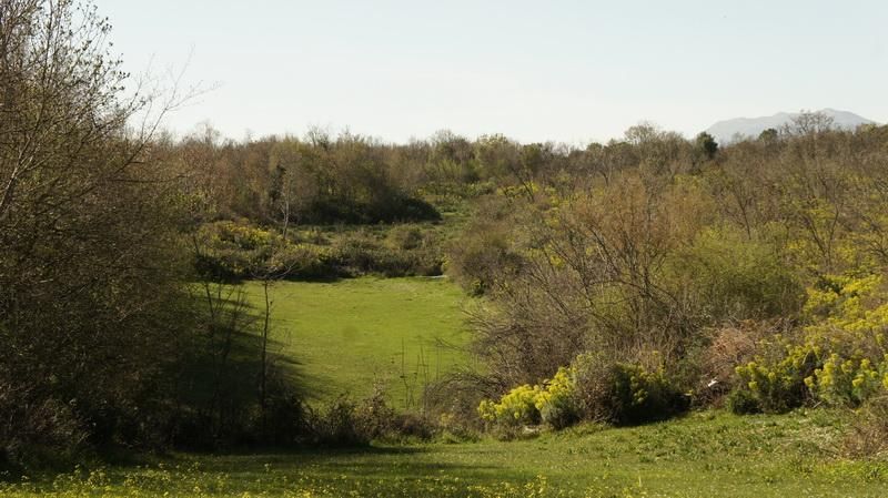 Terreno a Ulcinj, Montenegro, 20 290 m2 - foto 6