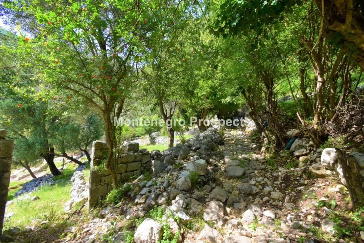 Terreno a Risan, Montenegro, 5 924 m2 - foto 6