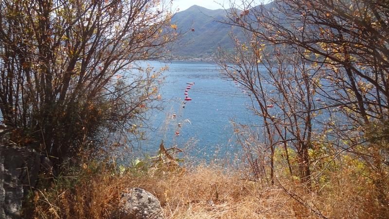 Terrain à Perast, Monténégro, 7 943 m² - image 5