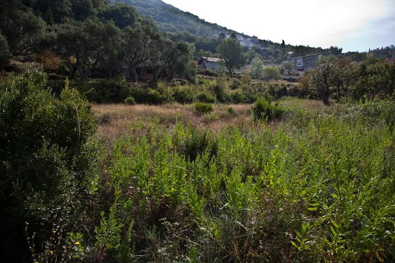 Terreno a Bar, Montenegro, 8 694 m2 - foto 6