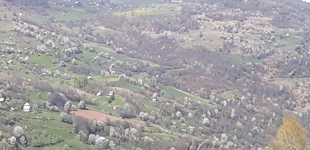 Land in Mojkovac, Montenegro, 166 613 m² - picture 5