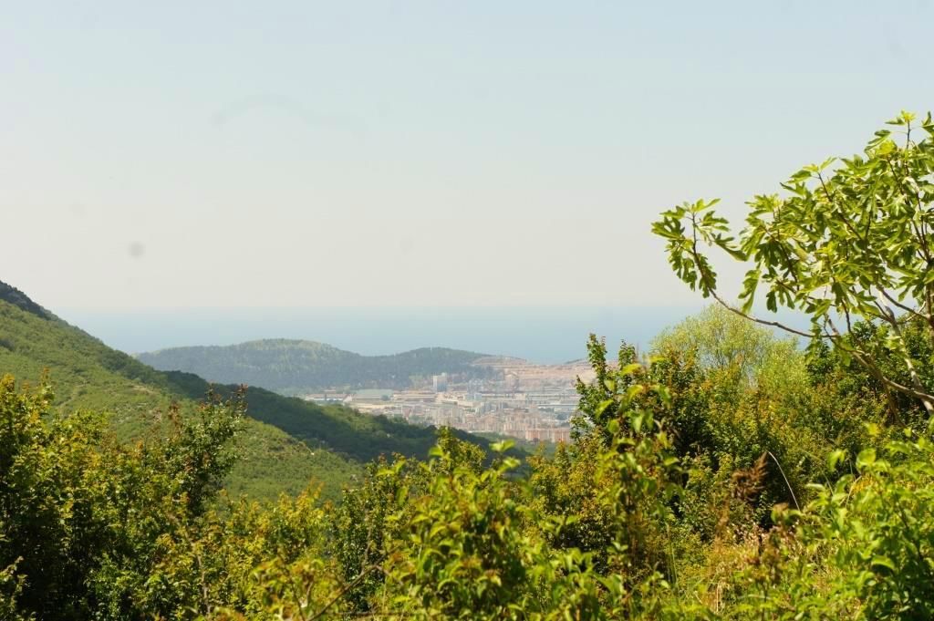 Grundstück in Bar, Montenegro, 4 160 m² - Foto 7